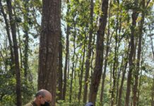 प्रेम नगर के क्षेत्र के बाला सुंदरी मंदिर के पास मिली सड़ी गली लाश।