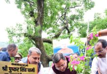 विश्व पर्यावरण दिवस के अवसर पर मुख्यमंत्री पुष्कर सिंह धामी ने की पौधारोपण की शुरुआत।