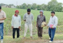गाना एवं चीनी उद्योग विभाग उत्तराखंड के प्रचार एवं जनसंपर्क अधिकारी श्री निलेश कुमार द्वारा काशीपुर परिक्षेत्र के अंतर्गत आने वाले कुछ ग्रामों में प्रथम गन्ना सर्वेक्षण का निरीक्षण किया ।