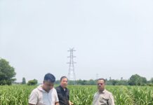 सहायक गन्ना आयुक्त आशीष नेगी ने गन्ना विकास परिषद काशीपुर परिक्षेत्र में गन्ना सर्वेक्षण कार्यों का किया औचक निरीक्षण ।