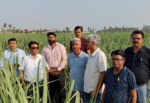 गन्ना आयुक्त त्रिलोक सिंह मर्तोलिया द्वारा गन्ना सर्वेक्षण कार्यों का किया गया औचक निरीक्षण।