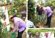 विश्व पर्यावरण दिवस पर वन मंत्री सुबोध उनियाल ने किया वृक्षारोपण, पर्यावरण संरक्षण का दिया संदेश.।