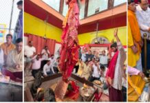 उत्तरकाशी में मुख्यमंत्री श्री पुष्कर सिंह धामी के मुख्यसेवक के रूप में पाँच वर्ष पूर्ण होने के अवसर पर श्री काशी विश्वनाथ मंदिर में विशेष पूजा-अर्चना।