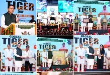 सिंगल-यूज़ प्लास्टिक के विरुद्ध जनभागीदारी से चलाना होगा प्रभावी अभियान : मुख्यमंत्री।