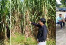 एस.सी.डी.आई. काशीपुर बीरेंद्र कुमार चौधरी द्वारा परिक्षेत्र अन्तर्गत विभिन्न ग्रामों में जल प्लावित क्षेत्रों का एवं विकास कार्यों का औचक निरीक्षण किया।